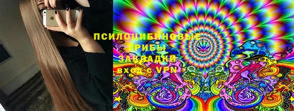 ECSTASY Бородино